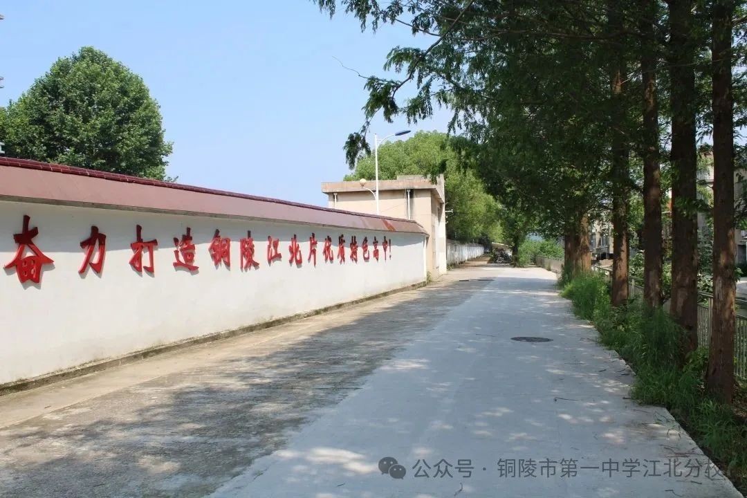 深耕地域文化 赋能师生成长 市一中江北分校“鹞山大讲堂”倍受师生青睐